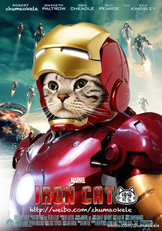 Illustration for article titled Meet China's Next Cat Celebrity